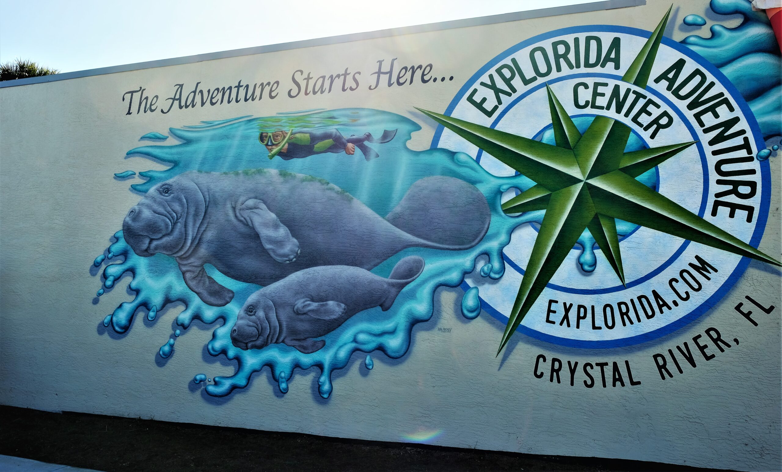Manatee Mural downtown Crystal River FL